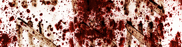 Sen Terörist Olamazsın