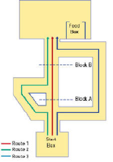 Şekil 1. Tolman'ın fareler ile yaptığı deney için labirent düzeneği. Oluşturdukları bilişsel haritaya göre fareler; "Block A" engeli koyulduğunda yeşil rotayı seçerken, "Block B" engeli koyulduğunda mavi rotayı seçmektedirler. (Kassin, 2001)